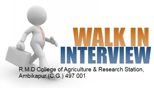 Walk-in-Interview for Research Associate on a contractual basis advertisement in GKMS project at RMD college of Agriculture and Research Station, Ajirma, Ambikapur.